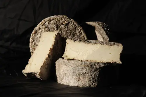 Enogastronomia del Lazio, prodotti da proteggere e tutelare