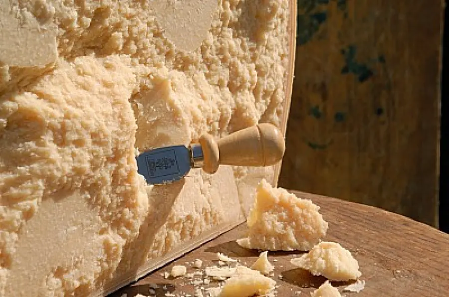 Granone Lodigiano: un formaggio antico da Lodi