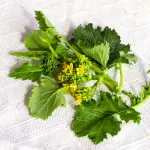 I Friarielli, un piatto ricco di storia e dal sapore unico